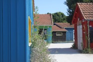 IMG_6606.jpeg
