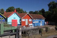 IMG_6608.jpeg