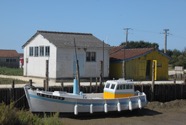 IMG_6616.jpeg