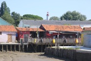 IMG_6621.jpeg