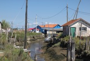 IMG_6622.jpeg