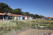 IMG_6631.jpeg