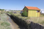 IMG_6633.jpeg