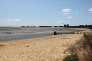 IMG_6637.jpeg