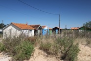 IMG_6640.jpeg
