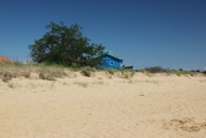 IMG_6643.jpeg
