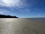 IMG_0919.jpeg