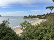 IMG_0963.jpeg