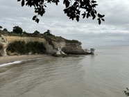 IMG_0965.jpeg