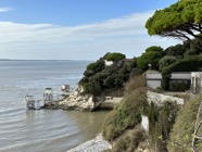 IMG_0967.jpeg