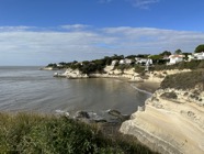 IMG_0971.jpeg