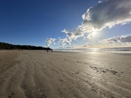 IMG_1250.jpeg