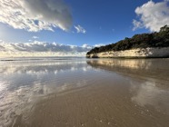 IMG_1252.jpeg