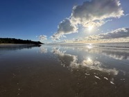 IMG_1254.jpeg
