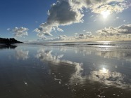 IMG_1256.jpeg