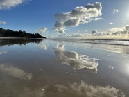 IMG_1258.jpeg