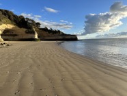 IMG_1263.jpeg