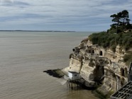 IMG_2001.jpeg
