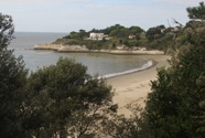 IMG_4230.jpeg