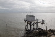 IMG_4241.jpeg