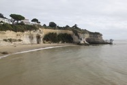 IMG_4242.jpeg