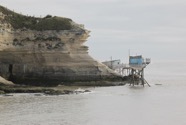 IMG_4244.jpeg