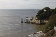 IMG_4250.jpeg