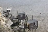 IMG_4271.jpeg