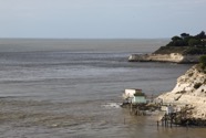 IMG_4299.jpeg