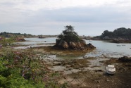 IMG_1740.jpeg