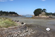 IMG_1747.jpeg