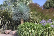 IMG_1753.jpeg