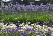 IMG_1756.jpeg