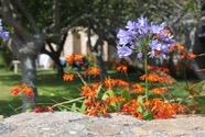 IMG_1776.jpeg