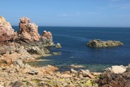 IMG_1802.jpeg