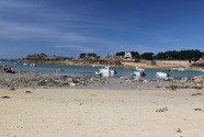 IMG_1924.jpeg