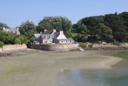 IMG_1945.jpeg