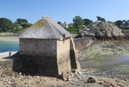 IMG_1950.jpeg