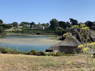 IMG_3413.jpeg