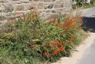 IMG_1625.jpeg