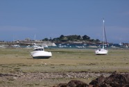 IMG_1641.jpeg