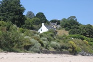 IMG_1645.jpeg