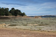 IMG_2029.jpeg
