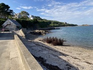 IMG_2143.jpeg