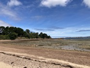 IMG_2175.jpeg