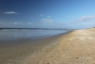 IMG_0029.jpeg