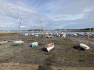 IMG_1598.jpeg