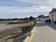IMG_1600.jpeg