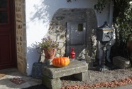 IMG_9817.jpeg