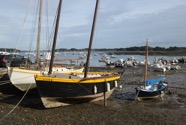 IMG_9885.jpeg